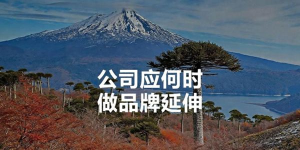 老板经：小企业要小而精，大企业要多而杂