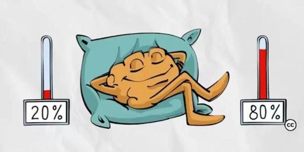 20%的客户创造了80%的的收入，是，但别误解